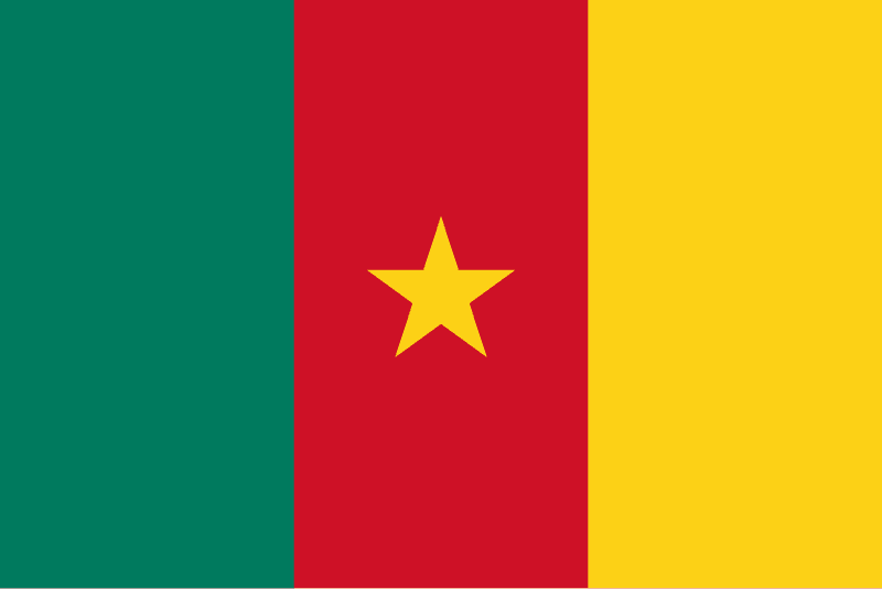 Cameroon flag icon