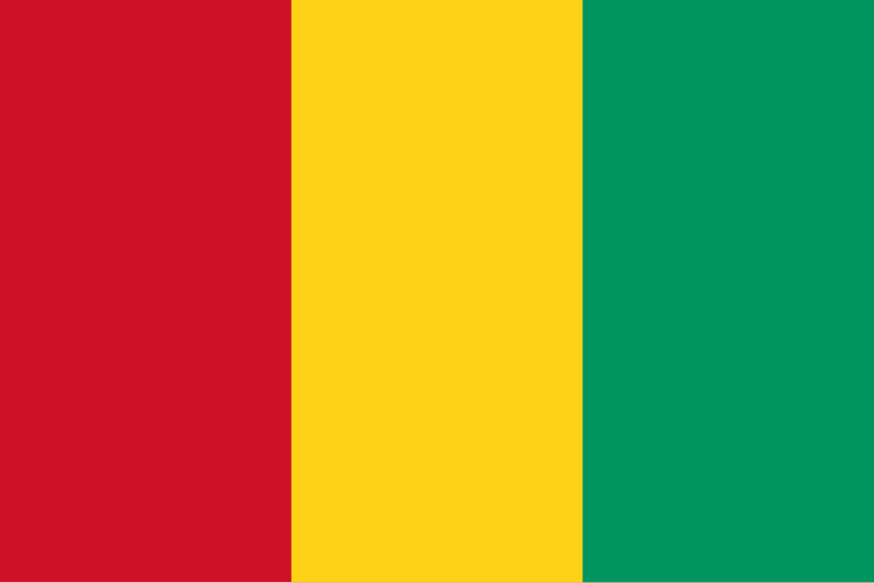 Guinea flag icon